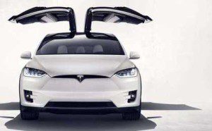 Falcon Wings du Tesla X 60D