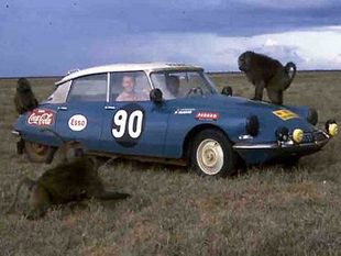 Guy Verrier, futur patron de Citroen Sport, au volant d'une DS, lors de l'EAST African Safari 1965