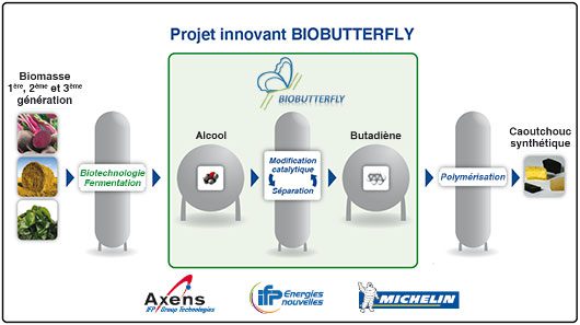 Michelin investit dans un pneu issu de la biomasse